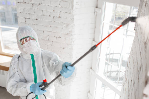 Best Mold Remediation for Healthcare Facilities  in Center, TX