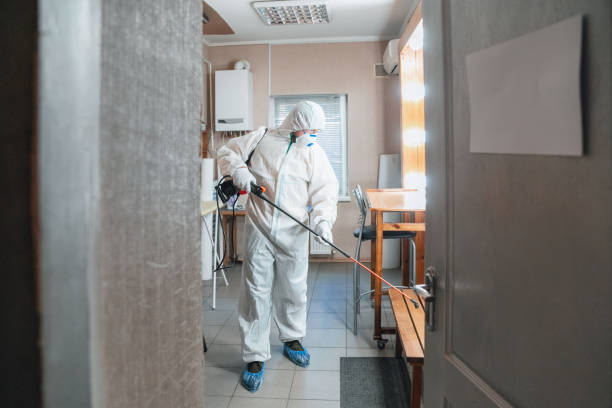 Best Emergency Mold Remediation  in Center, TX