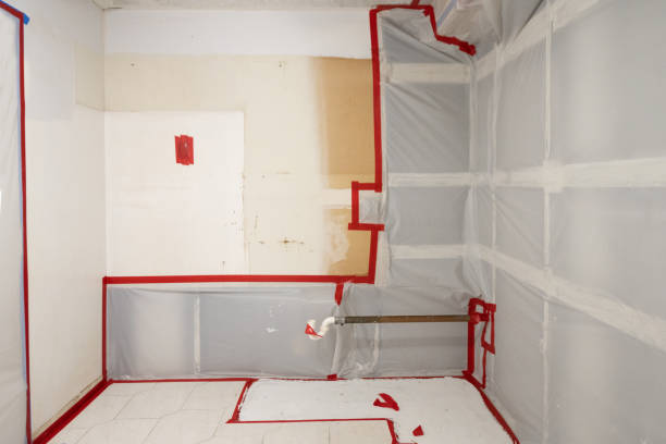 Best Mold Odor Removal Services  in Center, TX