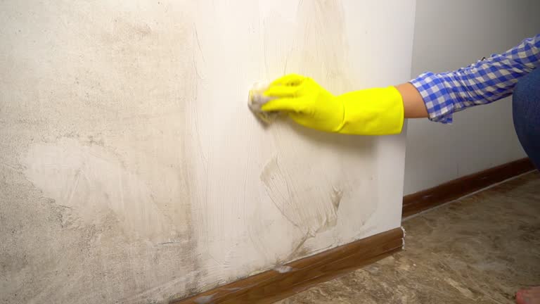 Best Residential Mold Inspection & Testing  in Center, TX